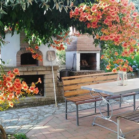 Ferienwohnung Casa Di Giulia Santa Luce Exterior foto