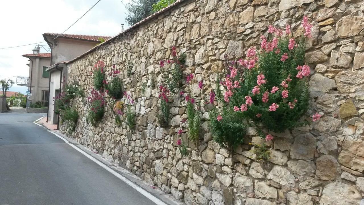 Ferienwohnung Casa Di Giulia Santa Luce Exterior foto